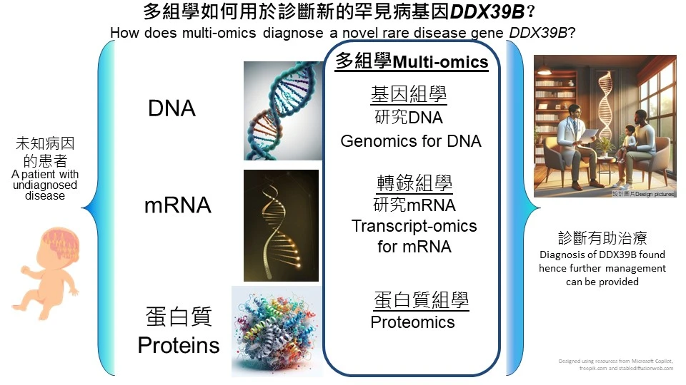 這項研究利用多組學方法，可在一次分析中廣泛涵蓋多種人類疾病，揭示疾病的潛在遺傳因素，從而研發新的篩查、診斷、預防和治療策略。
