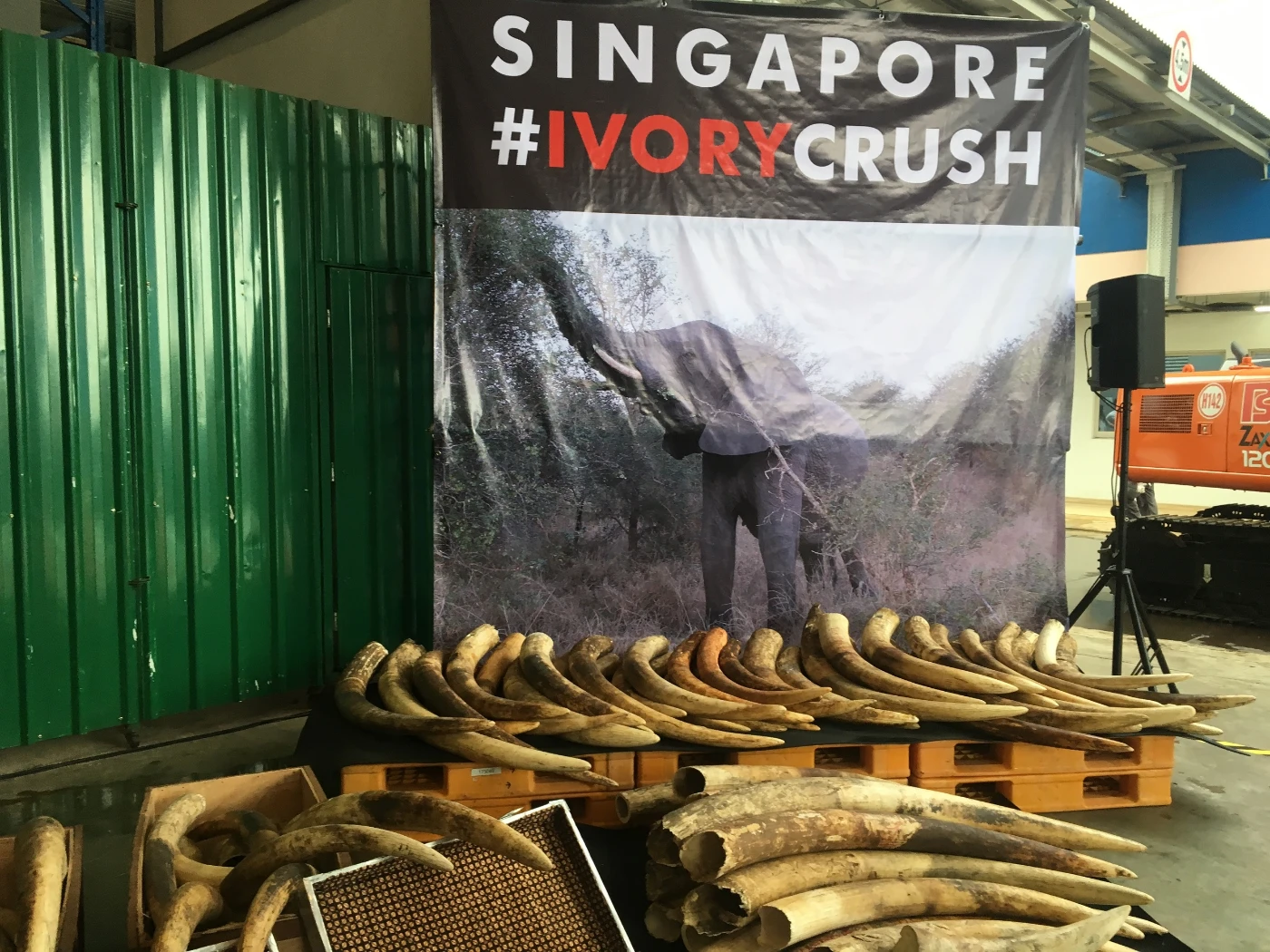 Research co-led by HKU and Lingnan ecologists reveals that <br>
wealth inequality is key driver of global wildlife trade