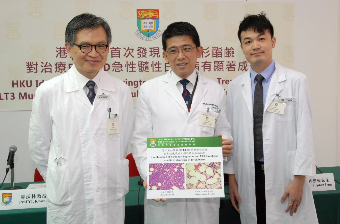 港大全球首次發現<br>
高三尖杉酯鹼對治療FLT3-ITD急性髓性白血病有顯著成效
