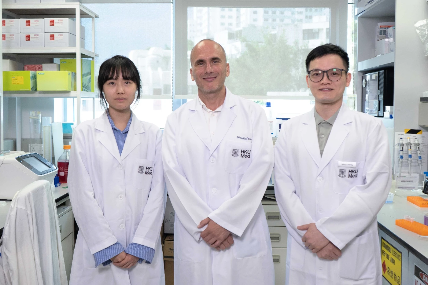 港大醫學院研發快捷方法誘導腦神經幹細胞助治療衰老疾病