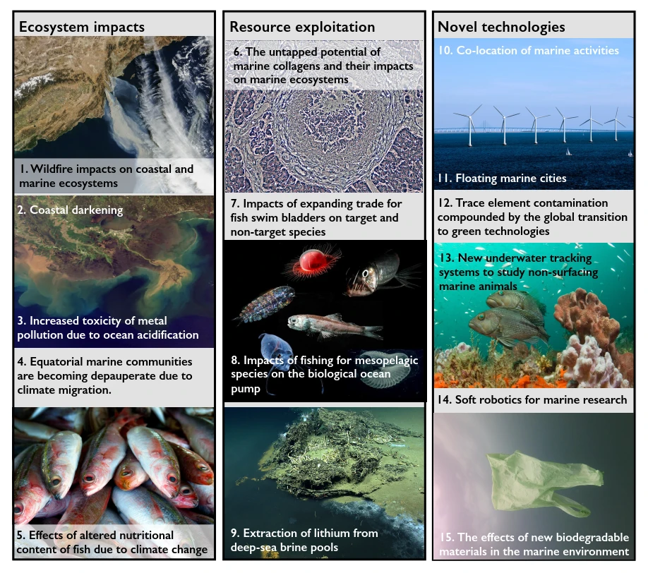 海洋科學家的預測:有關未來十年海洋及海岸生物多樣性不能不知的15件事