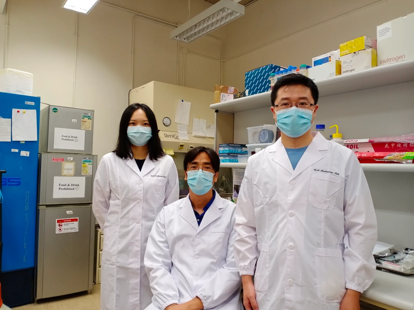 港大機械工程學者細胞力學研究新突破<br>
解構胚胎異常延伸問題