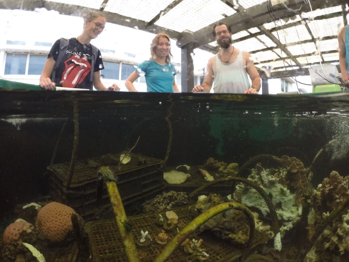 HKU study unlocks the secret of corals’ tolerance to climate change: their diet
