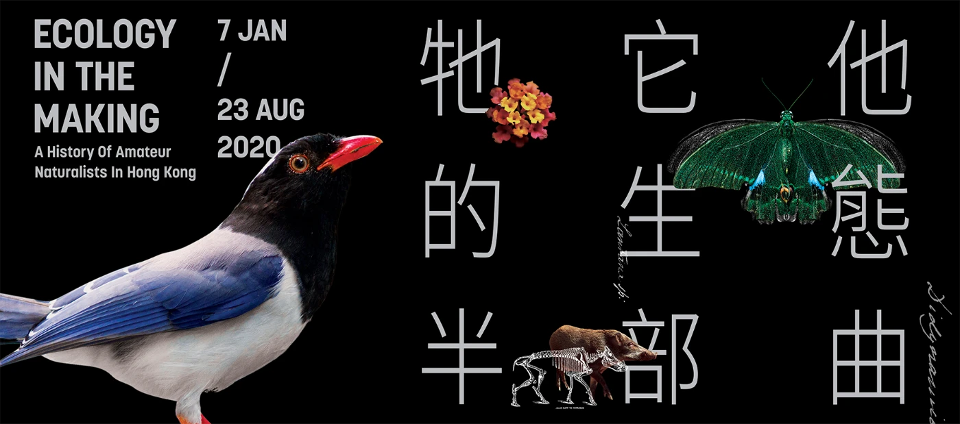 Ecology in the Making:<br>
Hong Kong’s First Historical Exhibition on Amateur Naturalists—<br>
the surprising ways amateurs helped create the ecology we know