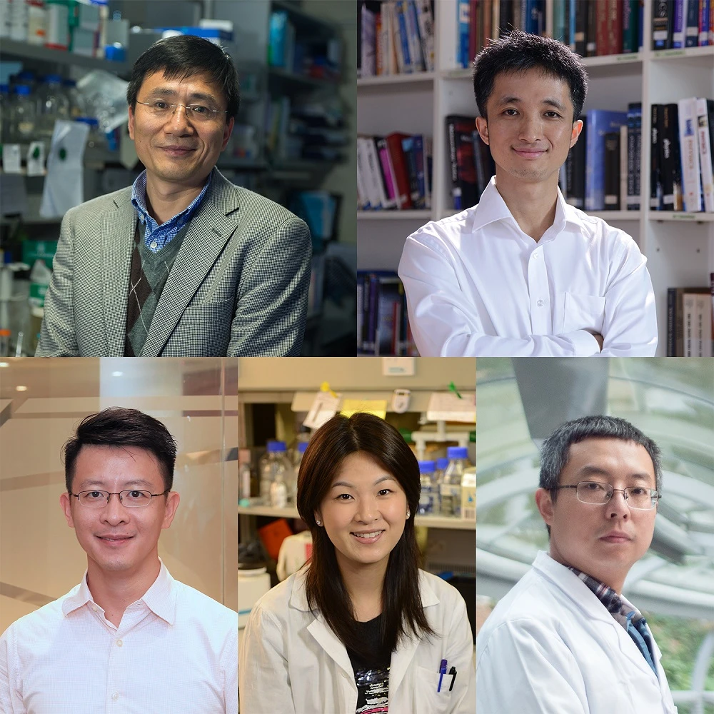 HKU obtains excellent results in RGC’s latest funding exercise