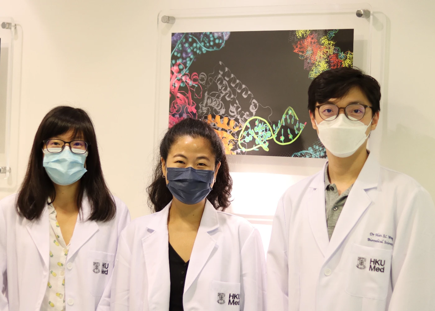 港大醫學院研究團隊結合了人工智能與蛋白質工程技術<br>
成功提升CRISPR-Cas9的基因編輯效率