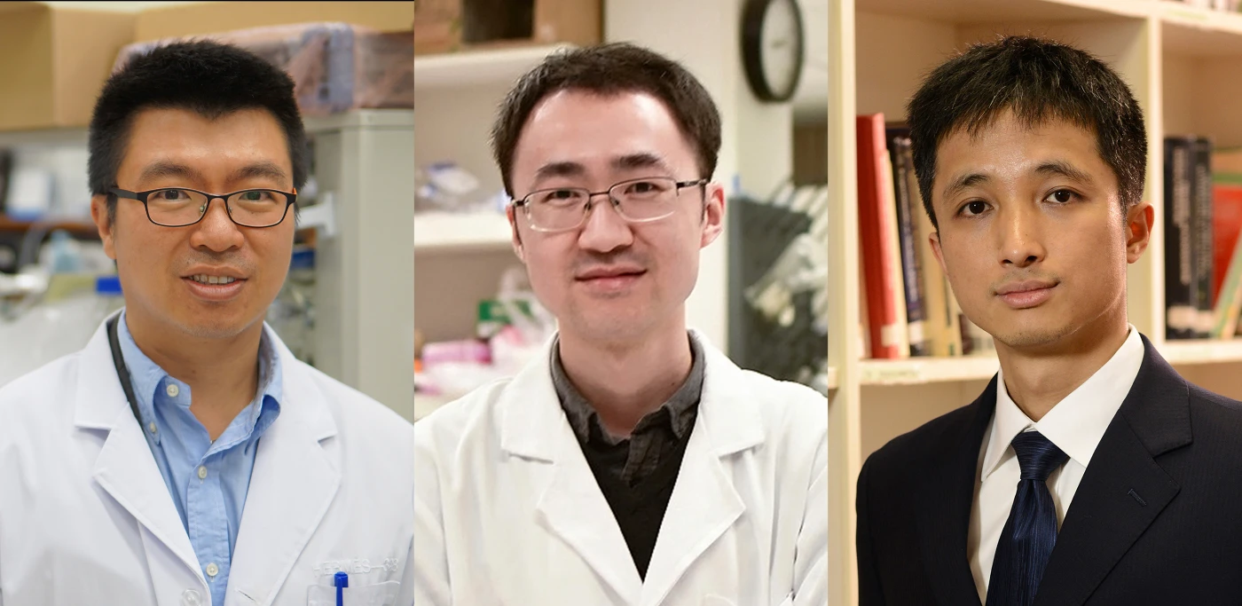 Three distinguished HKU academics receive Croucher Innovation and Senior Research Fellowship Awards