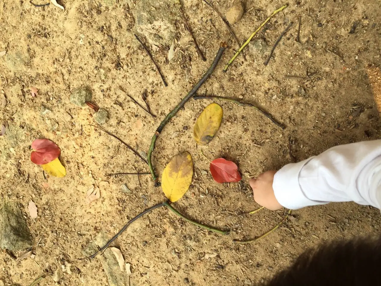 Connection of children to nature brings less distress, hyperactivity and behavioural problems – now measurable with a novel scale developed by HKU scientist