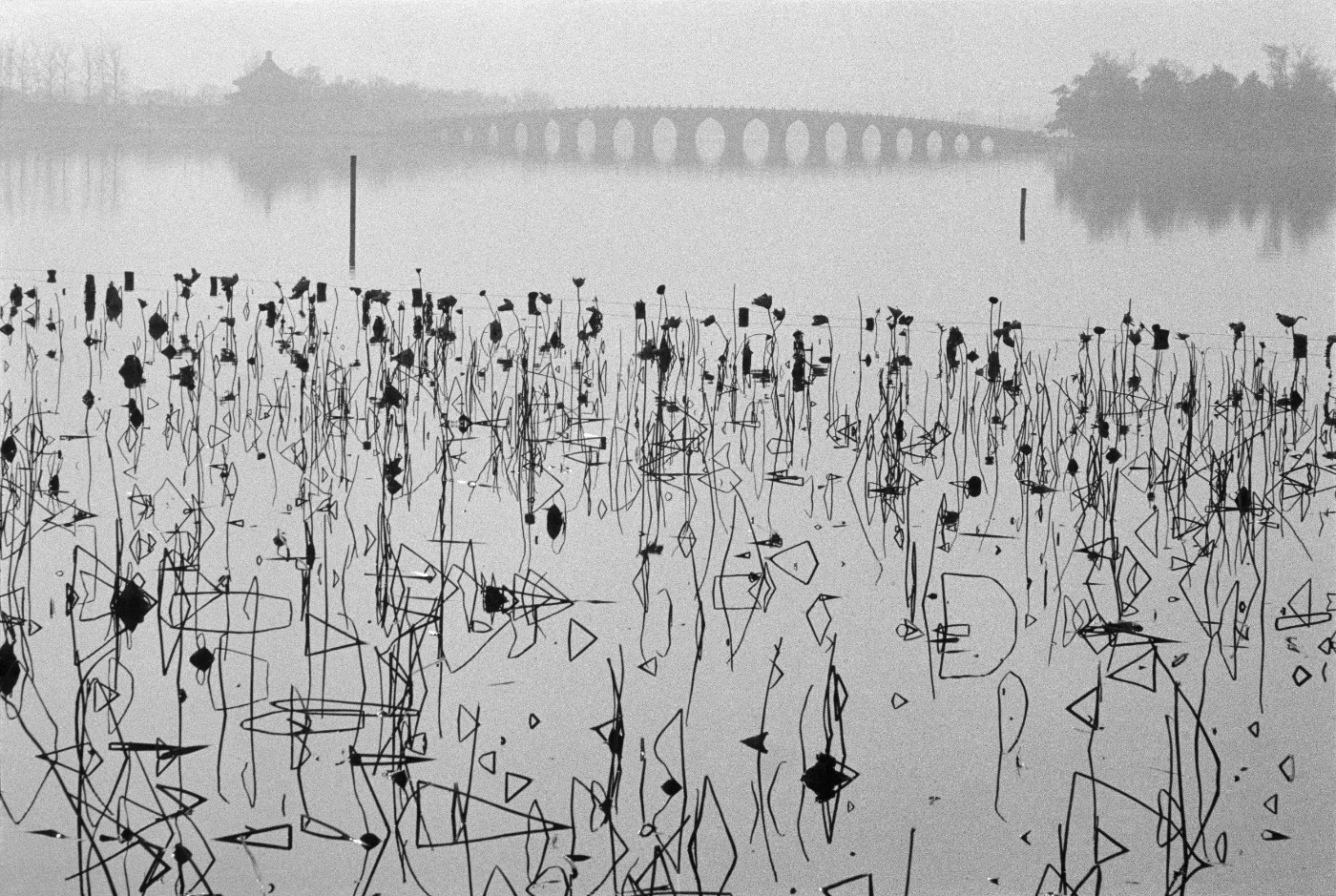 “Kunming Lake”
     Beijing, China, 1964
     In the collection of René Burri / Magnum Photos