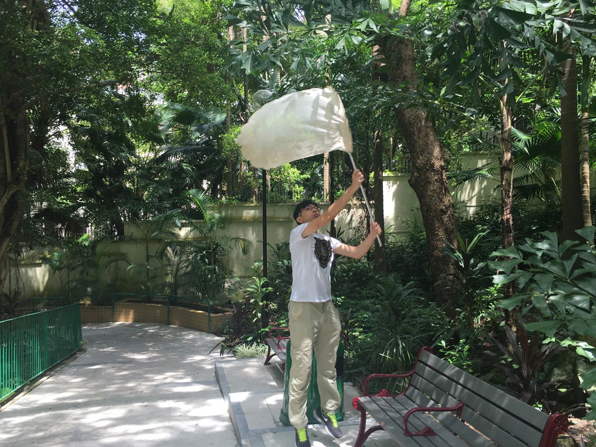 Toby’s earlier attempts to catch a Papilio species flying through a Hong Kong urban park (right).