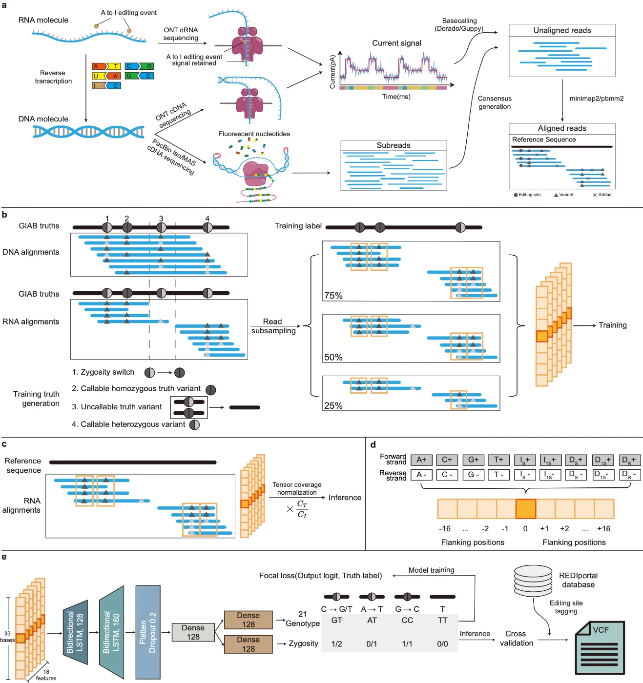 Researchers from HKU Engineering Develop Deep-learning Tools to Transform Cancer Diagnosis and Genomic Research