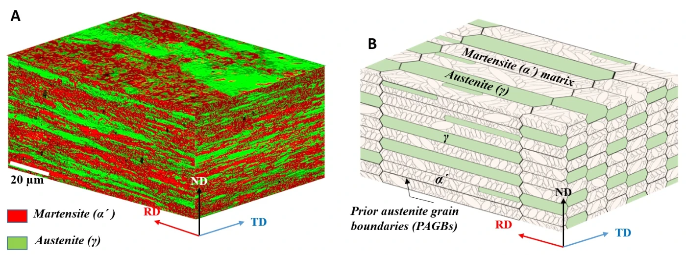 Figure 1. (A) The 3-D stereographic microstructure of the present D&P steel. (B) Schematic 3-D model illustrates the lamellar microstructure of the D&P steel.