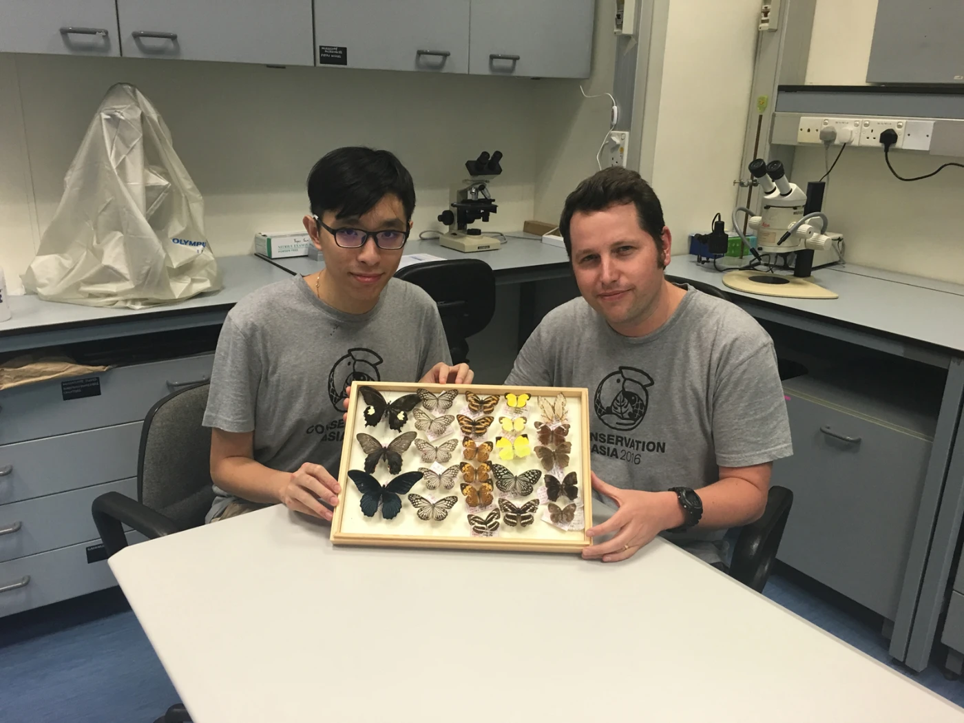 Toby Tsang Pak-nok (left) and Dr Timothy Bonebrake  display some of the butterflies that can be found in  Hong Kong’s urban environment.