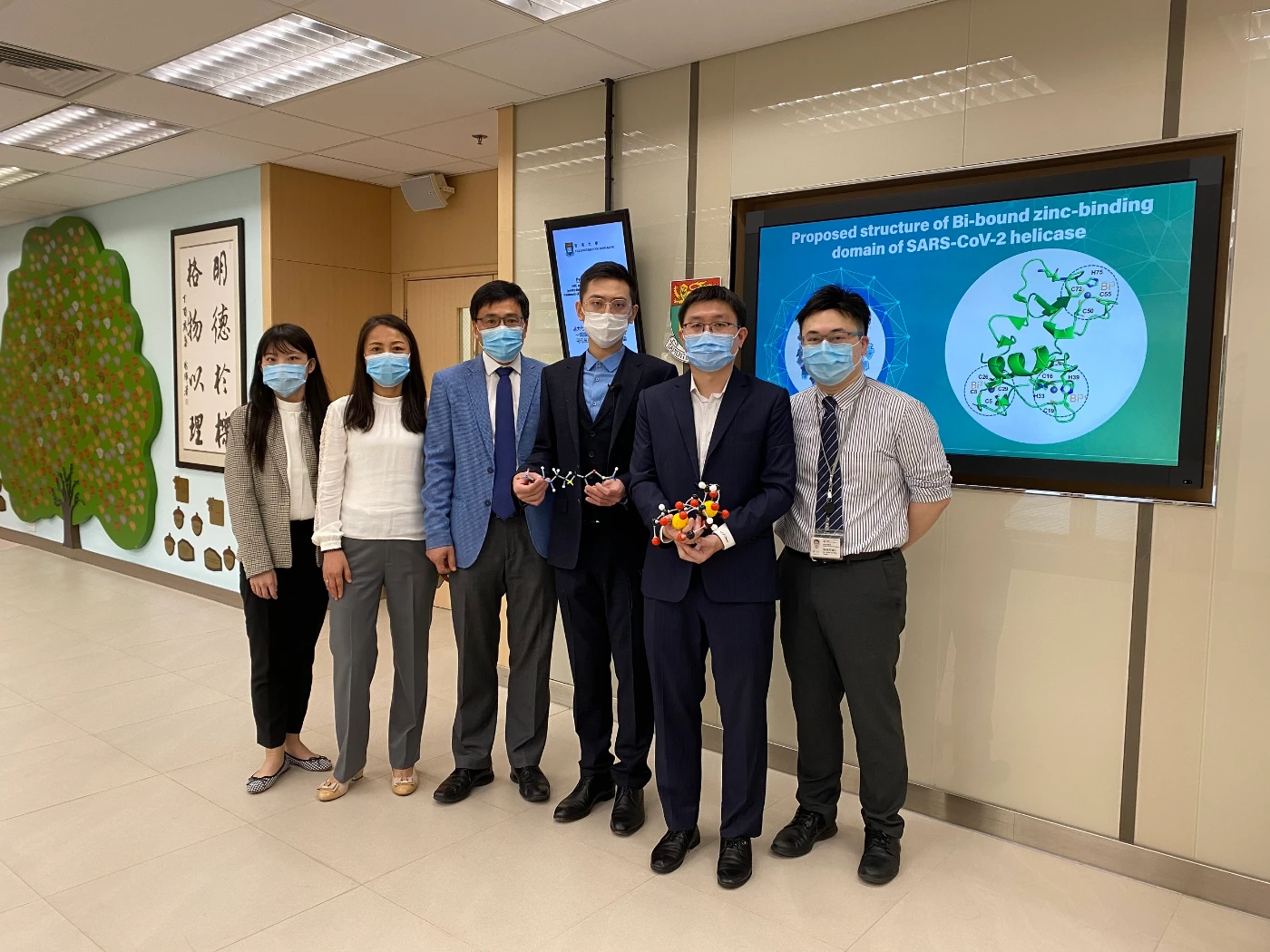 HKU scientists reveal orally administrated bismuth drug together with N-acetyl cysteine as a potential broad-spectrum anti-coronavirus cocktail therapy