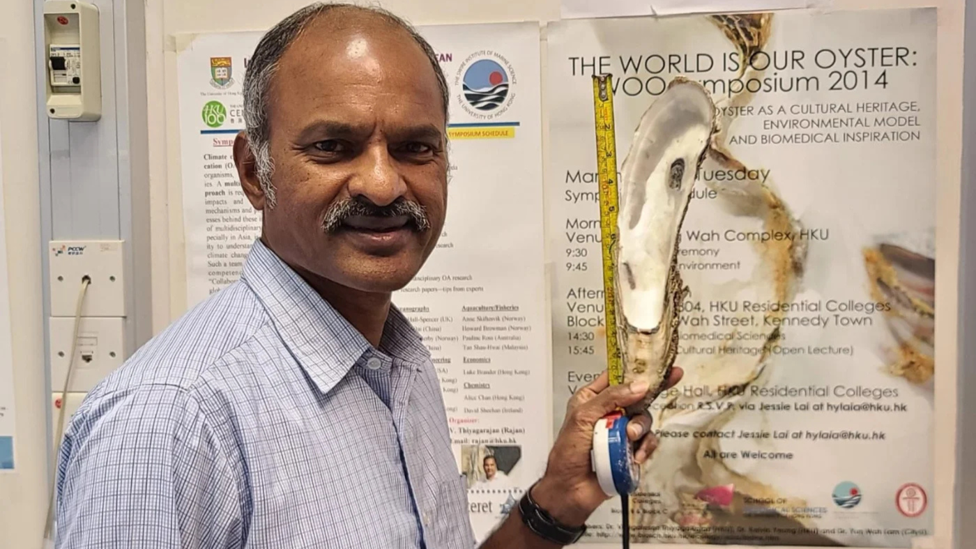 An HKU Marine Biologist’s Quest to Save Hong Kong’s 700-Year-Old Oyster Industry