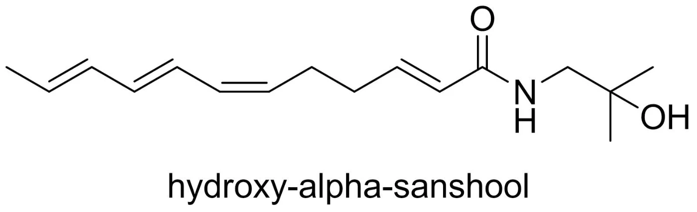 港大化學研究人員合成出花椒中令進食者感到麻痺的化合物
