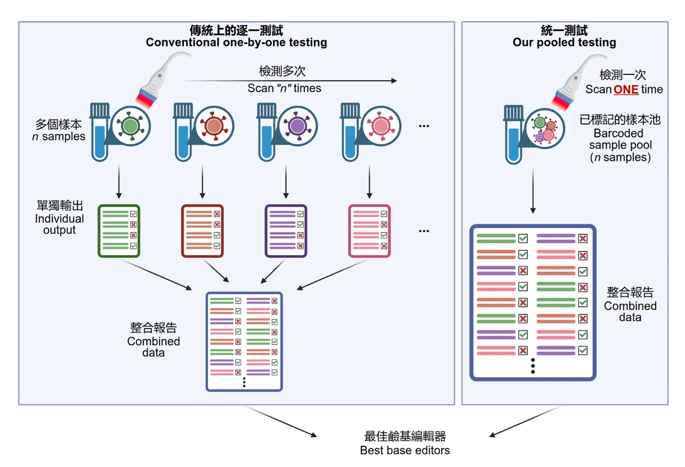 學院開發全球首個篩選精確基因編輯工具平台