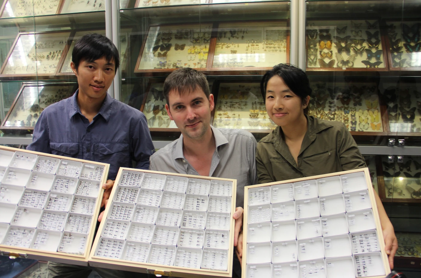 The team of HKU Insect Biodiversity and Biogeography Laboratory displays exhibits of ant species (from the left: PhD student Mr Roger Lee Ho, Assistant Professor Dr Benoit Guénard and Research Assistant Miss Ying Luo）.