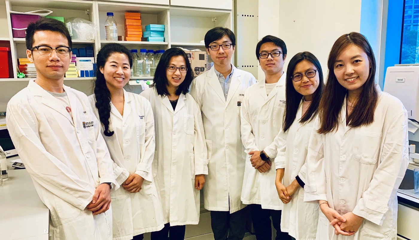香港大學開發首個蛋白質優化平台<br>
提升基因編輯酶的準確性和效率