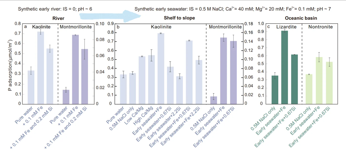 在模擬的早期水體環境中，溶解態正磷酸鹽在常見碎屑與自生層狀矽酸鹽礦物表面的吸附實驗結果。圖片來源：崔幸等（2026，《自然·通訊》）。