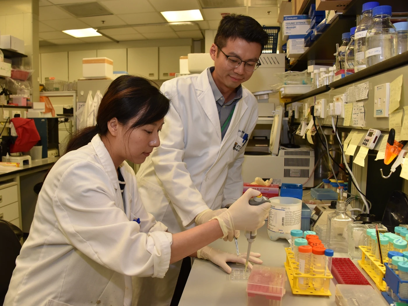 The research team led by Dr Martin Cheung Chi-hang discovers new function of a metastasis suppressor DLC1 in governing neural crest directional migration.