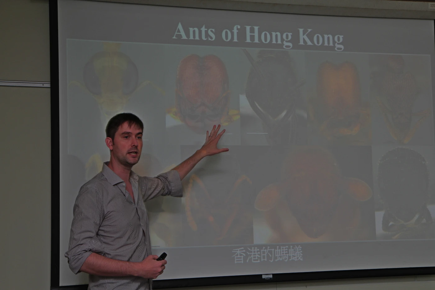 Dr Benoit Guénard introduces the common ants that can be found in Hong Kong.