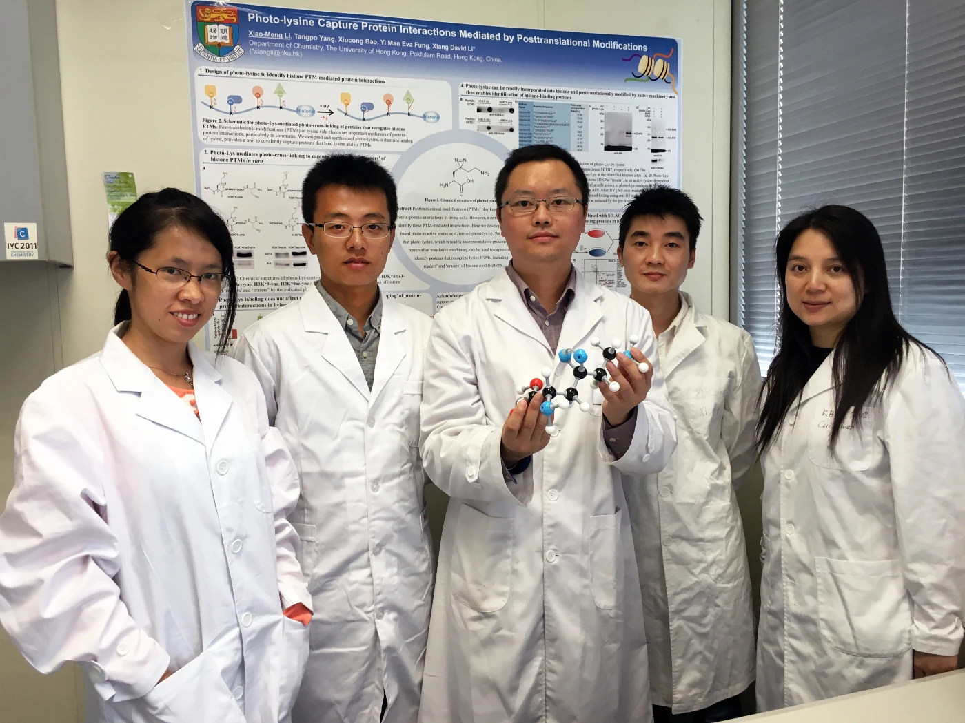 Spy in protein ‘social networks’— HKU Chemists develop new chemical tools to study protein-protein interactions in living cells
