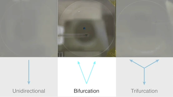 Depending on the crystal plane that interfaces with the droplet, the self-propulsion can be unidirectional, bifurcated, and even trifurcated. (A demonstration video is in the press release)