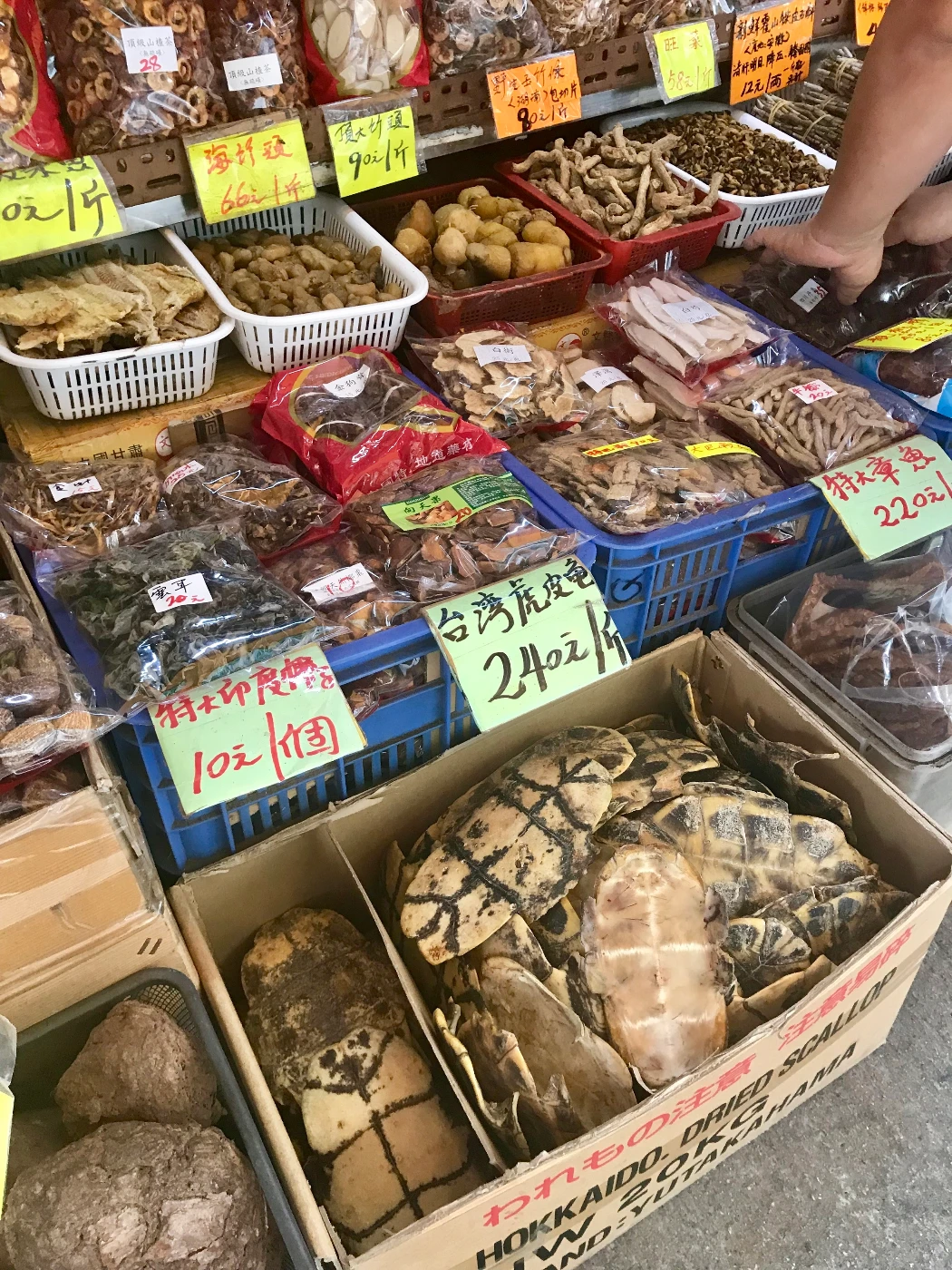 香港是全球中藥的最大入口地及第二出口地。
圖片提供： Astrid Andersson