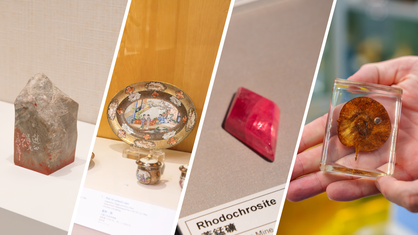 Studying at HKU? Don’t Miss These Four Campus ‘Hidden Gems’