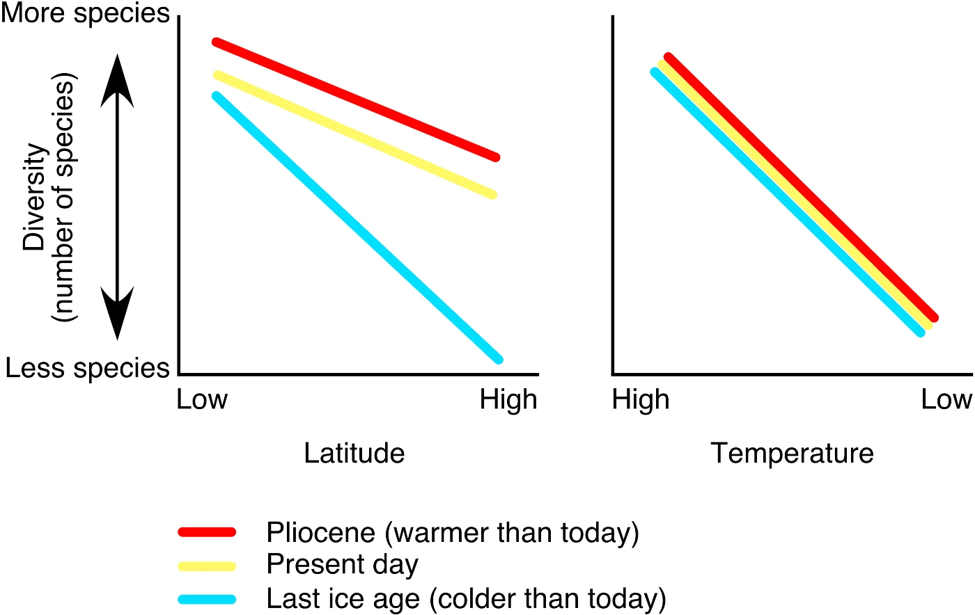 HKU Ecologist Discovers that Changes in Global Biodiversity Pattern Are Driven by Temperature and Climate