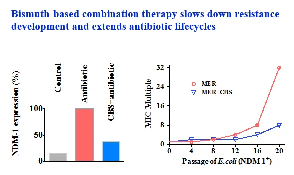 in mice model NDM-1expression decreased by  2.7-fold and resistance development slowed down by 4-fold