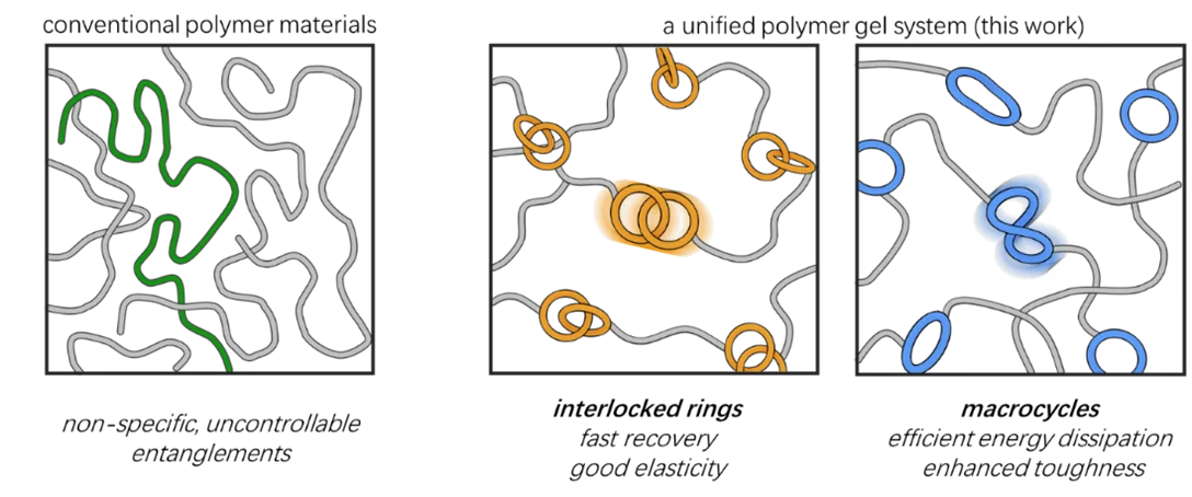 HKU Chemists Unlock the Secret to Designing Ultra-Tough and Responsive “Smart” Materials
