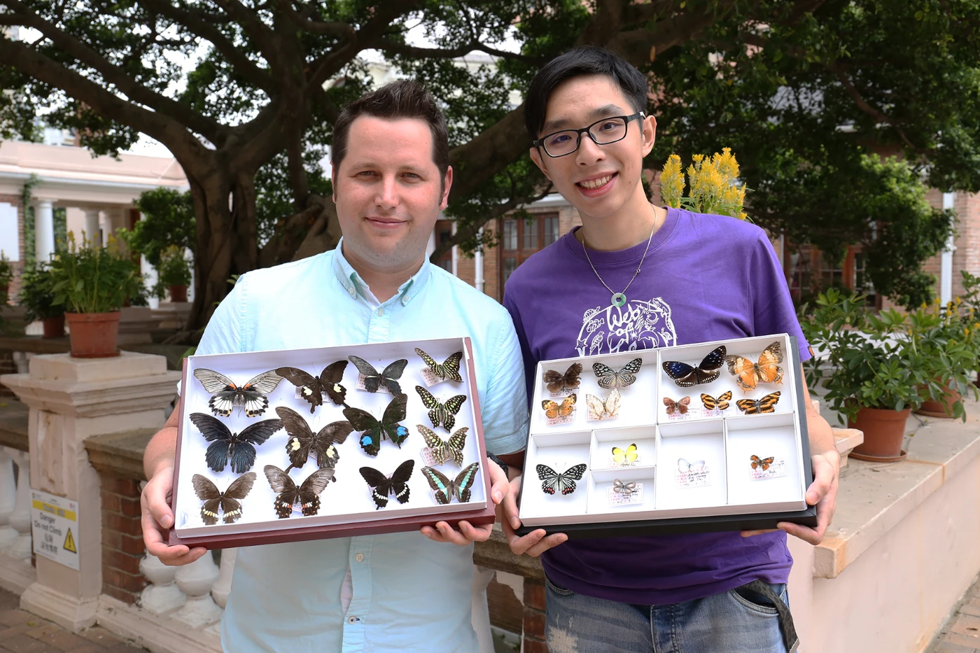 The first urban park butterfly study in HK:<br>
HKU ecologists reveal causes of butterfly diversity