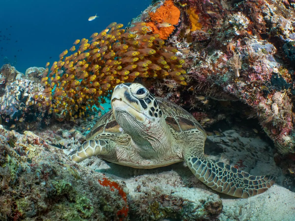 HKU scientist contributes to newly launched Second World Ocean Assessment
