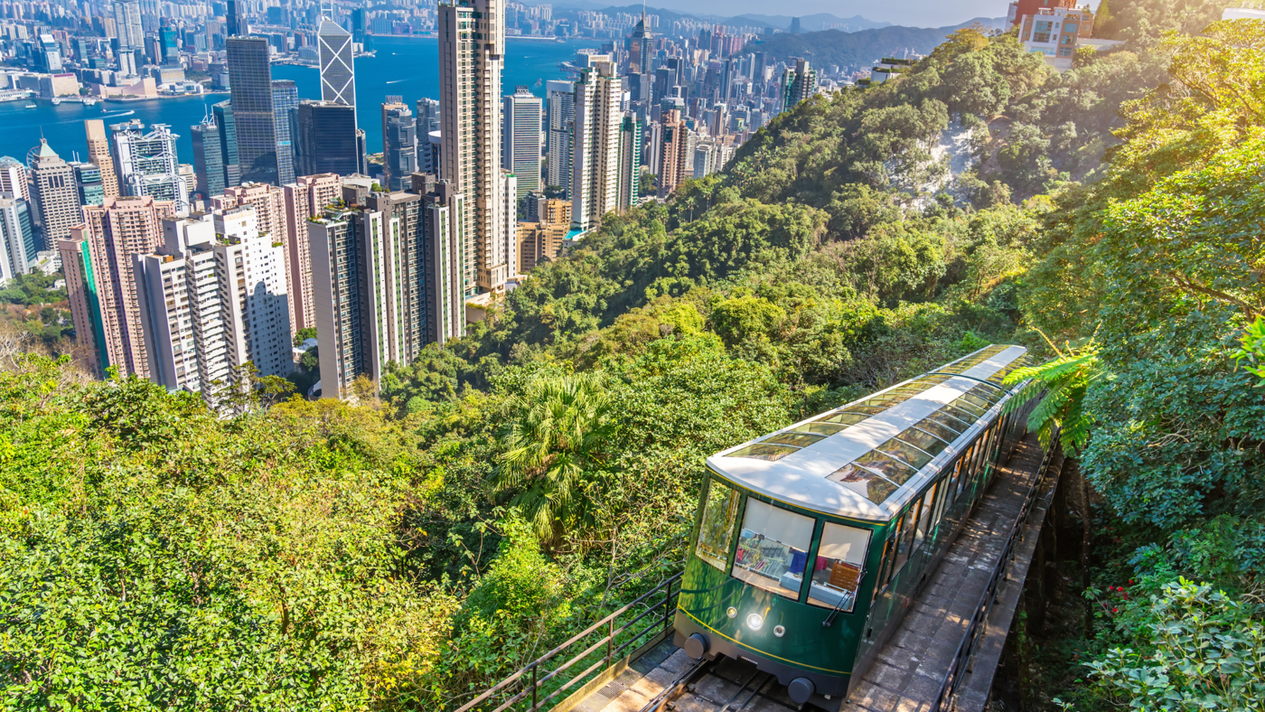港大領銜研究揭示城市綠地的強大生態韌性