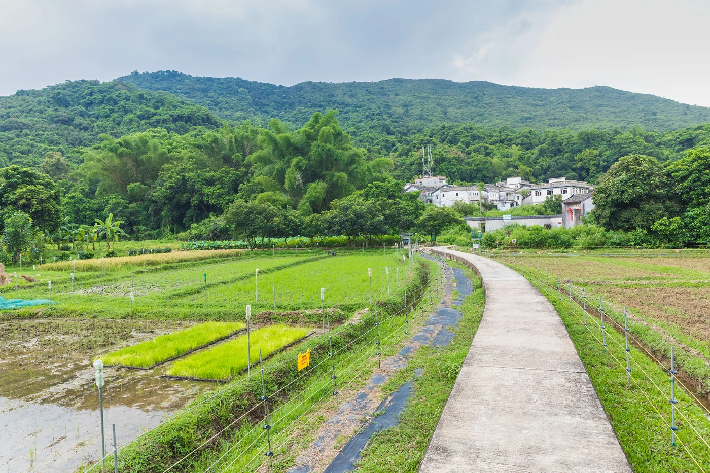 HKU’s “HSBC Rural Sustainability Programme” wins UN-Habitat Asian Townscape Award
