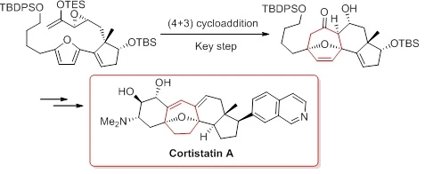 港大化學系成功研發嶄新化合物合成策略   有助減緩腫瘤生長及抗癌