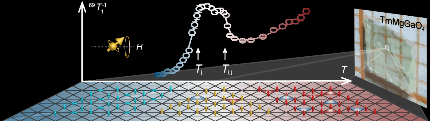 Confirming simulated calculations with experiment results<br>
New paradigm on quantum material research reveals topological KT phase of TMGO for the first time
