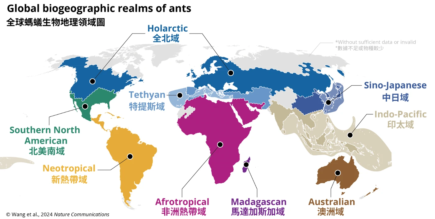 港大生態學家在百年生物多樣性地圖 首錄全球昆蟲主要生物地理領域