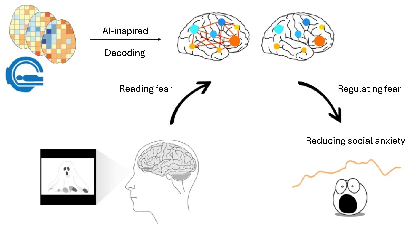 HKU Psychology Research Decodes Real-Life Fear<br>
Paving Way for Precision Social Anxiety Treatments