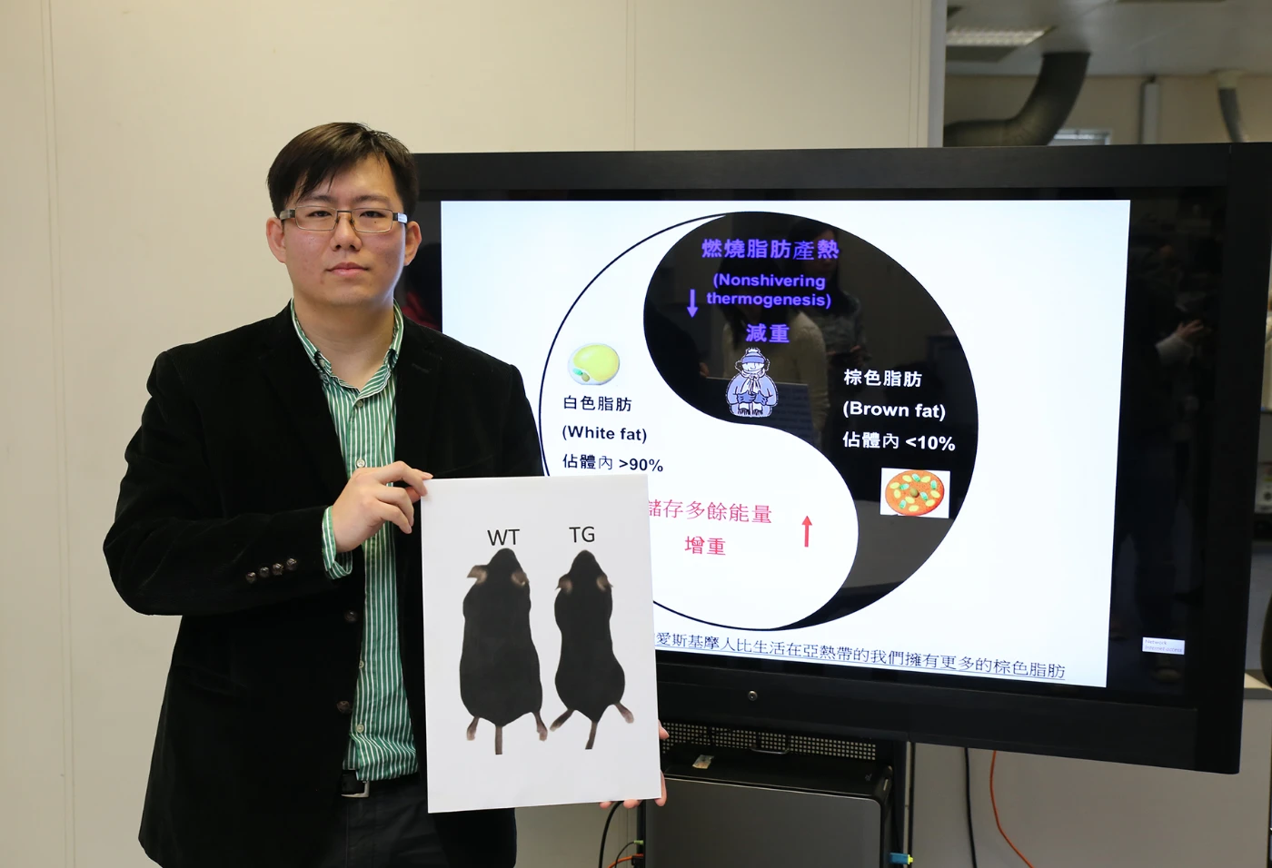 香港大學研究人員發現可激活脂肪燃燒蛋白因子<br>
有助開發新藥物治療肥胖症，糖尿病和脂肪肝等新陳代謝疾病