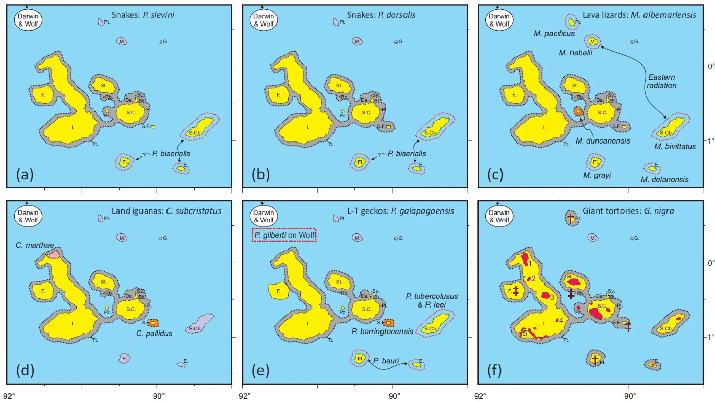 Figure 2. Repeating patterns in the distribution of the various land-locked reptile species. Any species occurring on one of the western and central “core” islands invariably occurs on all of them – compare the grey halos. The exceptions are the archipelago’s giant tortoises.