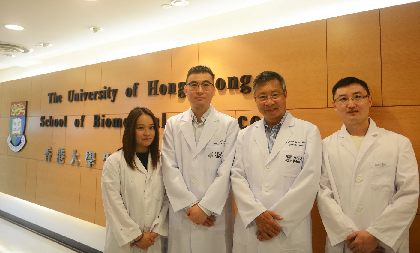 港大醫學院研究揭示腕管綜合症致病基因 <br>
為預防和治療指引新方向