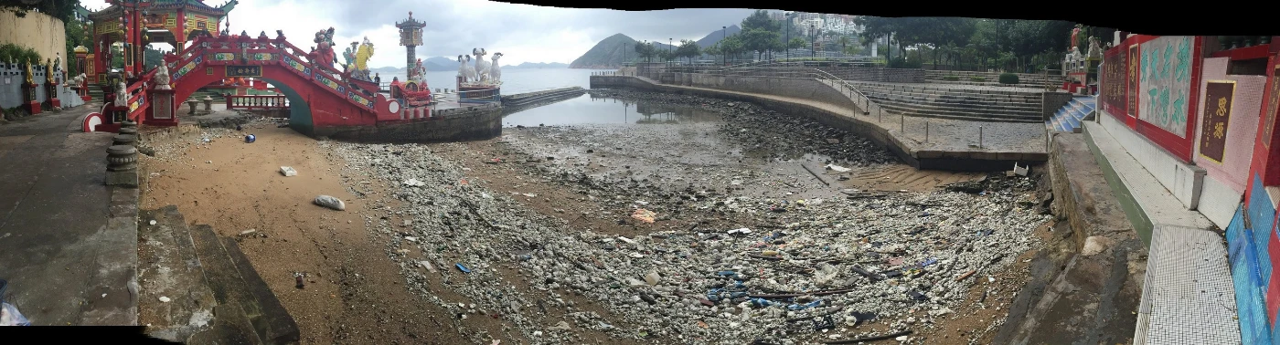 港大海洋生態學者就「棕櫚硬脂」污染對香港海洋生態影響作全球首次研究： 發現海洋生物受短期負面影響​