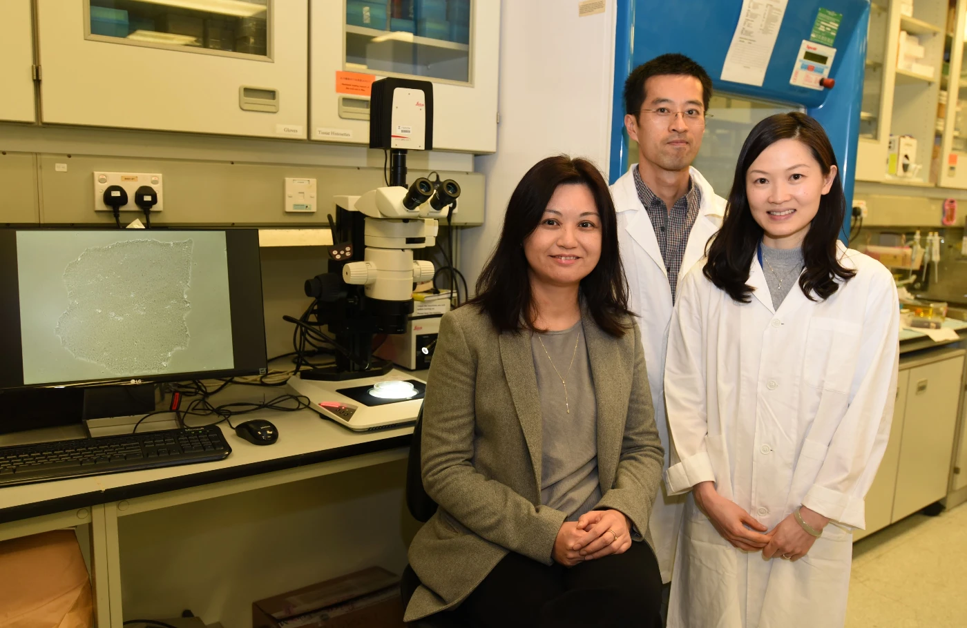 港大開發鑑定先天性巨結腸病遺傳基因變異的幹細胞模型