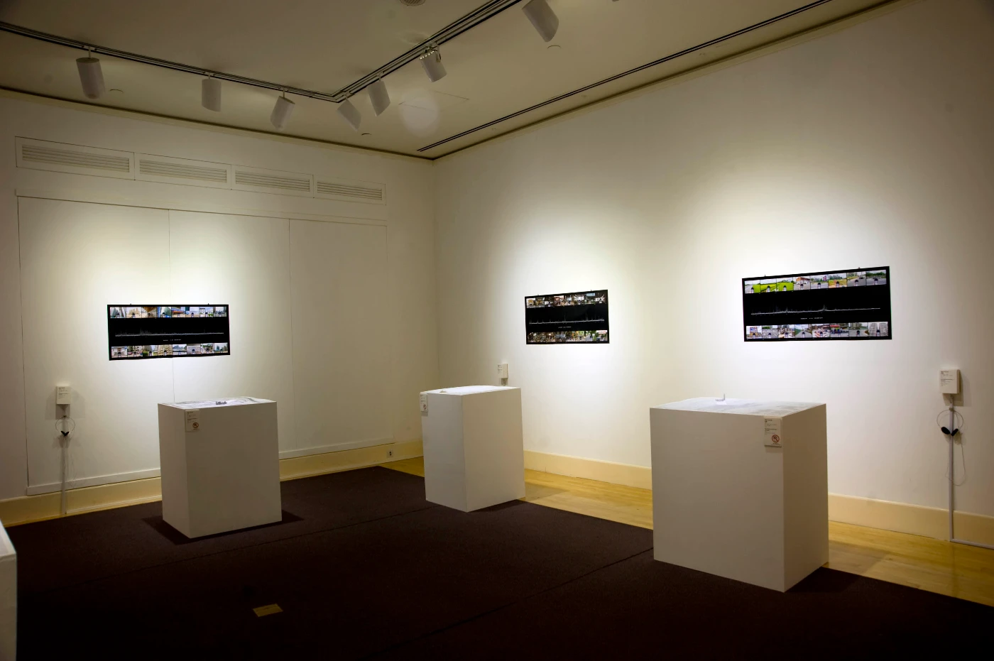 李天倫
     發展中的音域
     地圖，聲帶，能達翩紙本
     李天倫作品於港大博物館之場景
