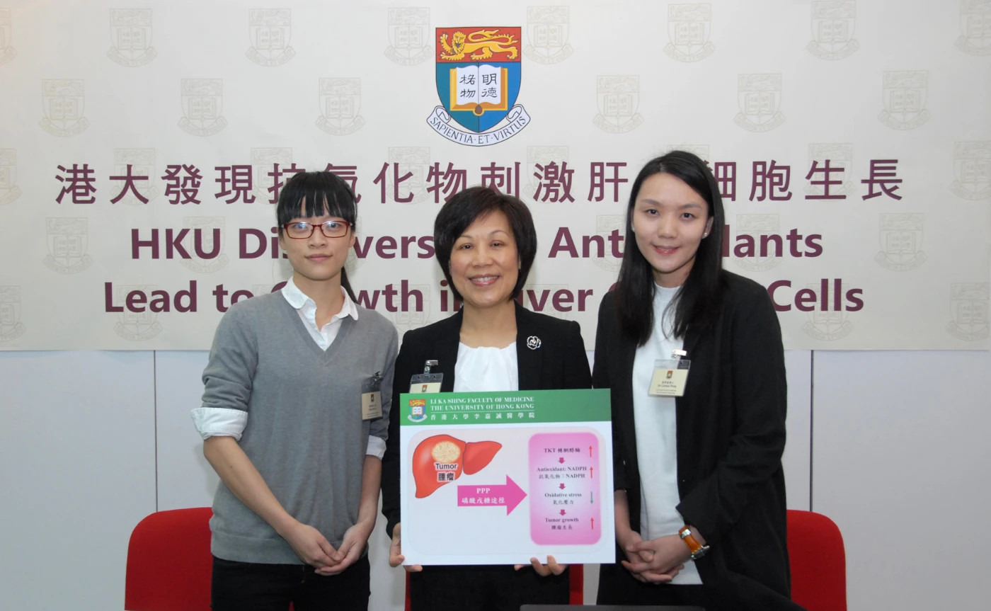 HKU Discovers that Antioxidants Lead to Growth in Liver Cancer Cells