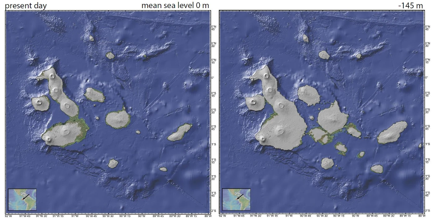 Geologically recent sea-level fluctuations add new twist<br>
to evolution story on “Darwin’s archipelago”