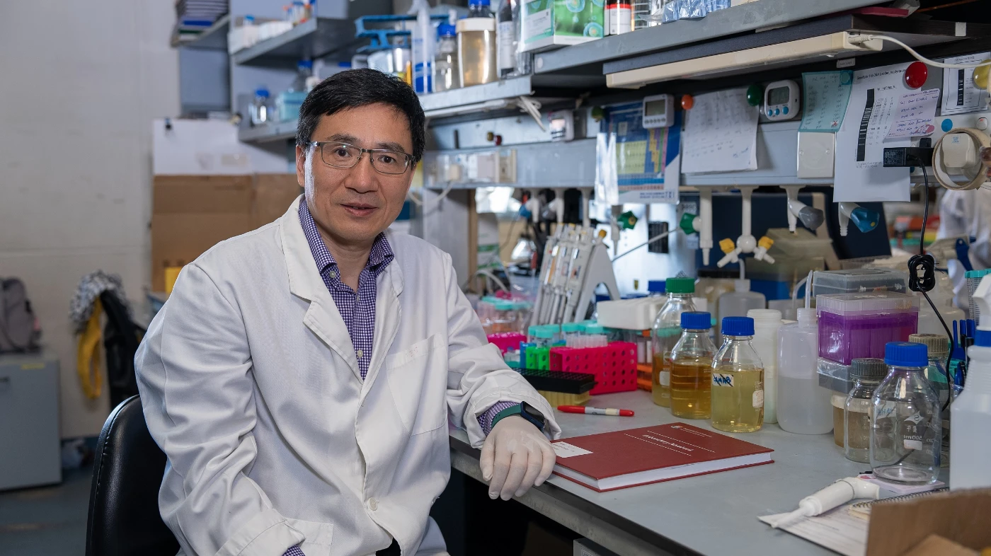 孫紅哲教授的研究重點包括金屬蛋白質組學、藥物化學（抗菌劑的發現）和生物化學。